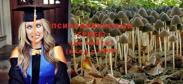 мдпв Покровск