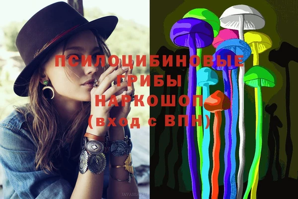 гидра Пестово