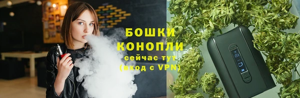 гидра Пестово