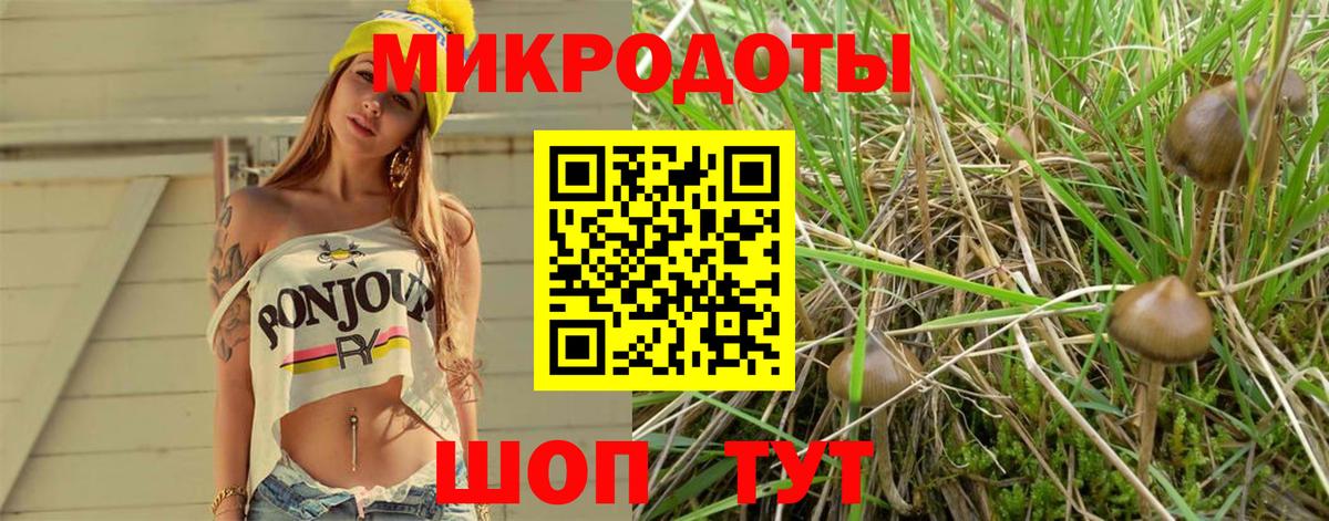 Галлюциногенные грибы мухоморы Туймазы