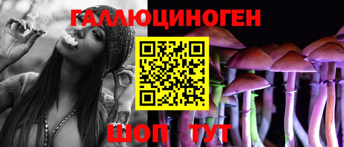 Псилоцибиновые грибы Cubensis Туймазы